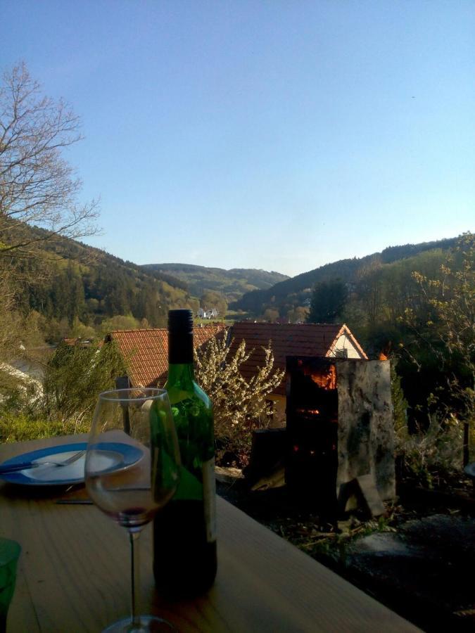 Fewo Pacohaus Naehe Willingen Diemelsee 브릴온 외부 사진