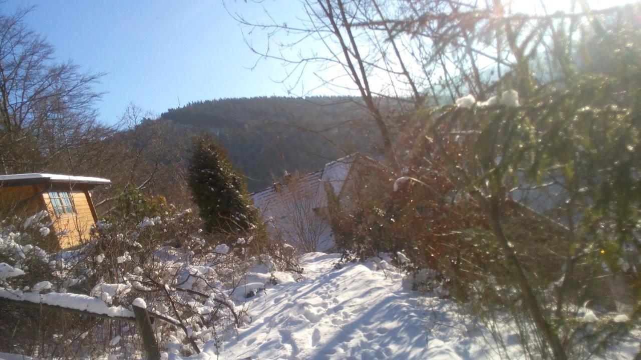Fewo Pacohaus Naehe Willingen Diemelsee 브릴온 외부 사진