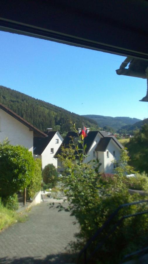 Fewo Pacohaus Naehe Willingen Diemelsee 브릴온 외부 사진