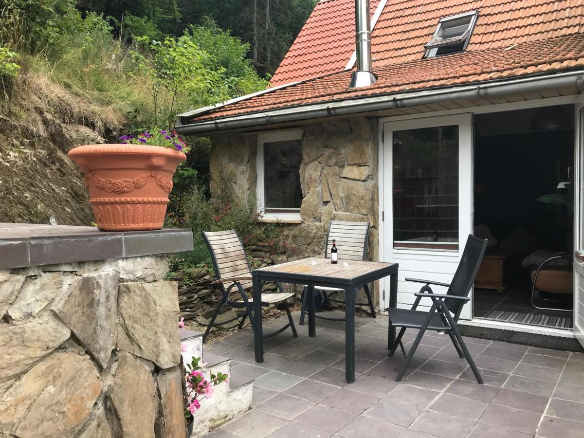 Fewo Pacohaus Naehe Willingen Diemelsee 브릴온 외부 사진