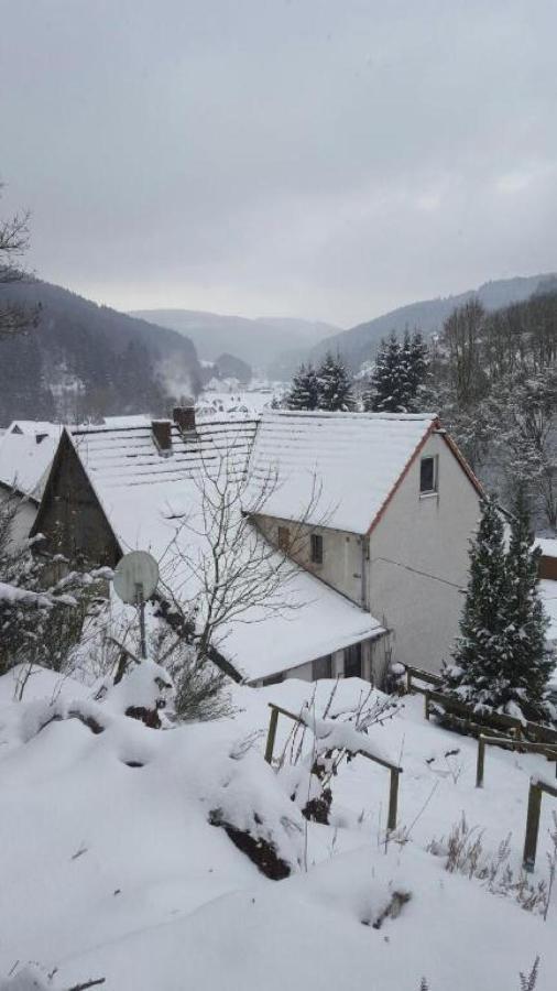 Fewo Pacohaus Naehe Willingen Diemelsee 브릴온 외부 사진