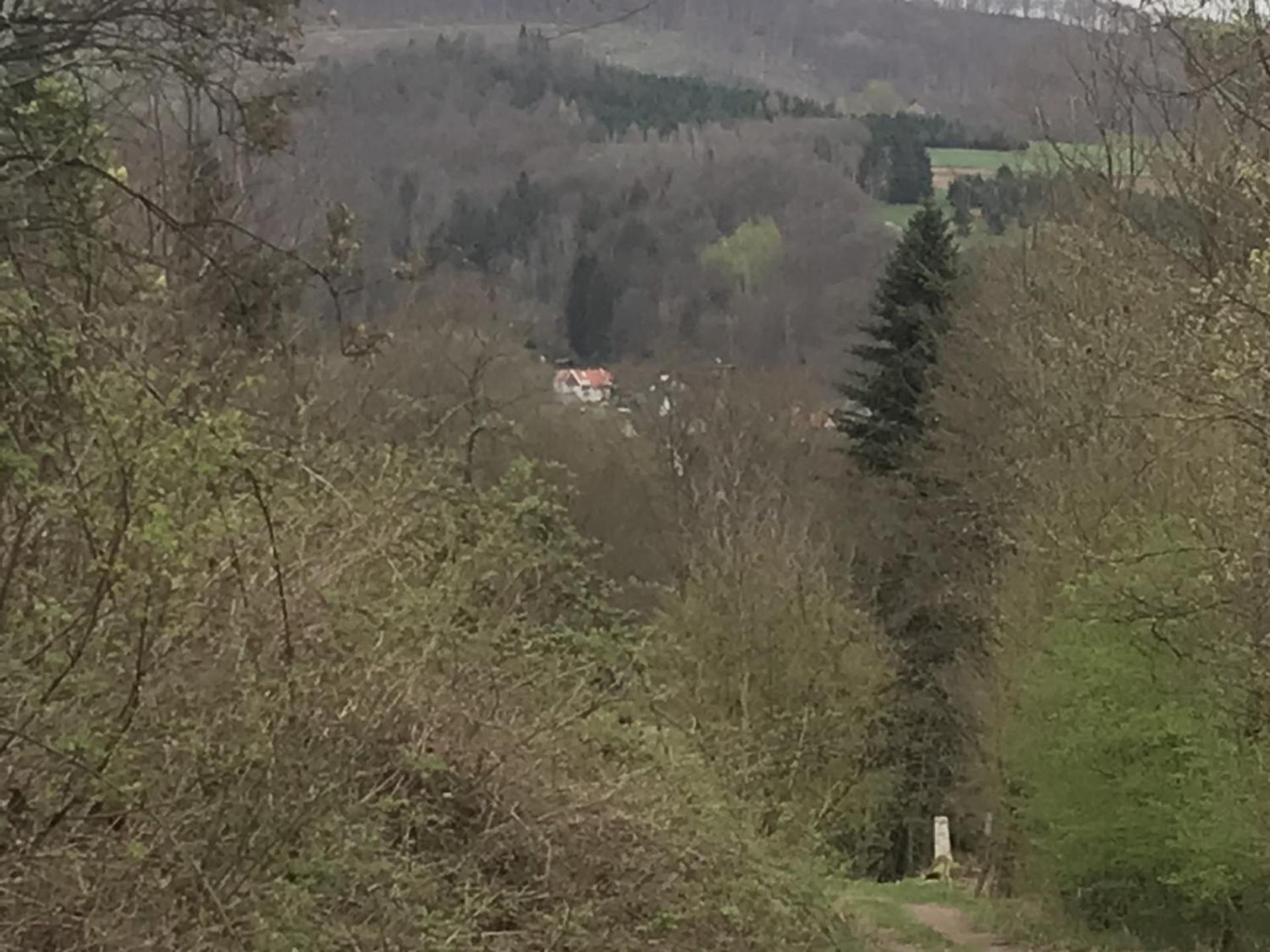 Fewo Pacohaus Naehe Willingen Diemelsee 브릴온 외부 사진