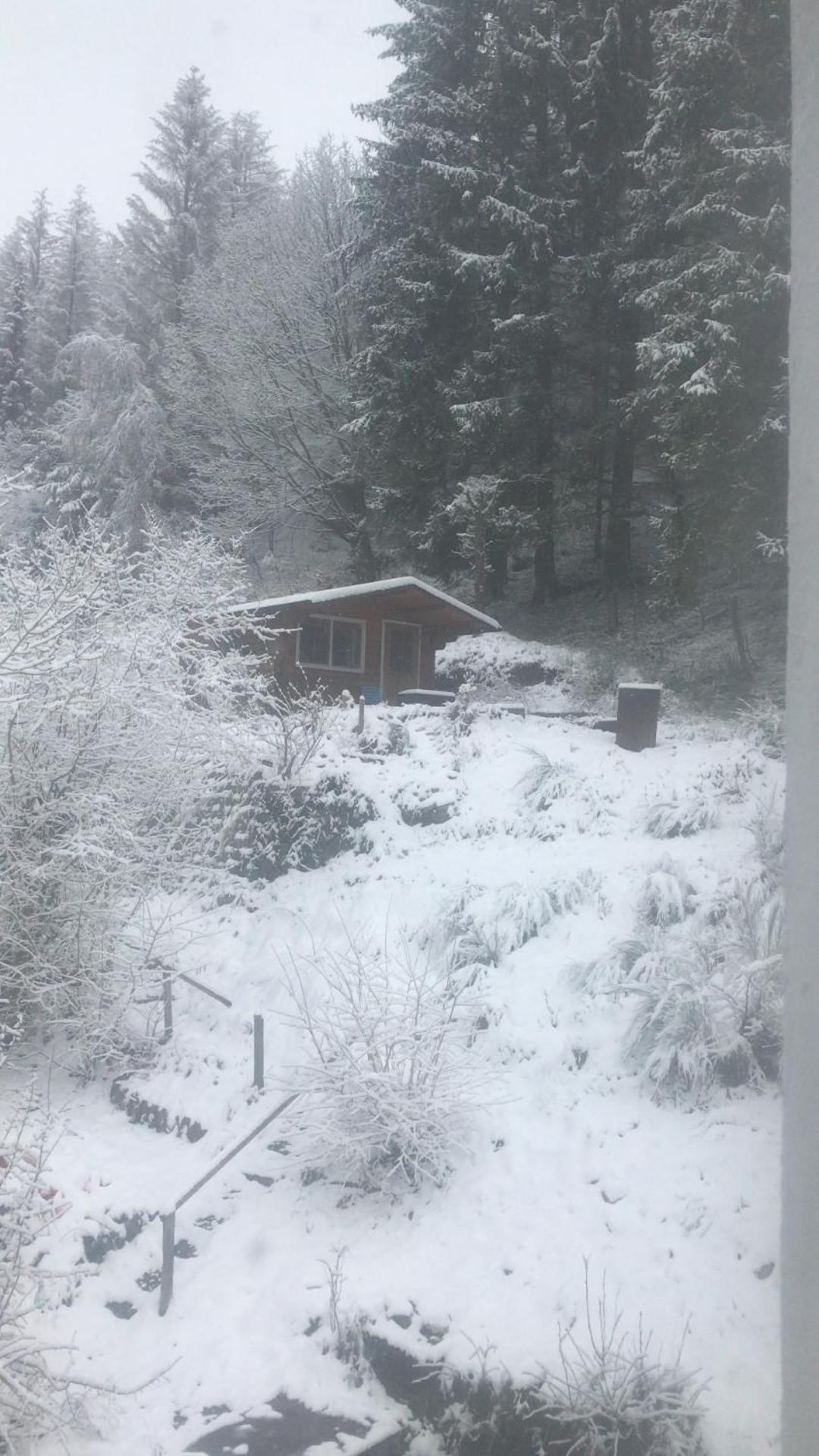 Fewo Pacohaus Naehe Willingen Diemelsee 브릴온 외부 사진
